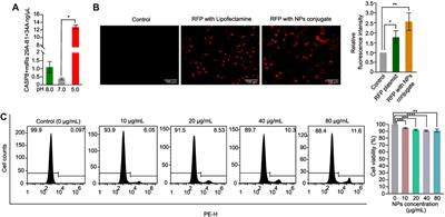 Frontiers | Apoptosis-targeted gene therapy for non-small cell 